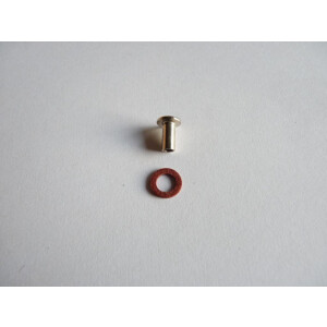 Opening Quarterlight Window Rivet and washer for all T2...