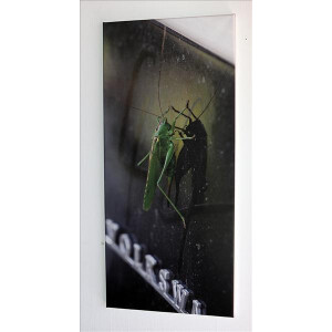Grasshopper on Type2 bay window