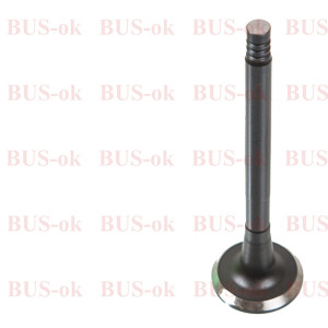 T25 Exhaust Valve for  2,1 WBX engines OEM-Nr. 025-109-612A